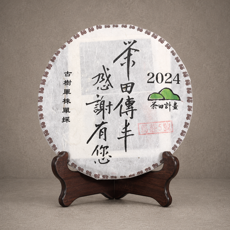 2024年 單株古樹青餅(馬庄古樹-編號5)